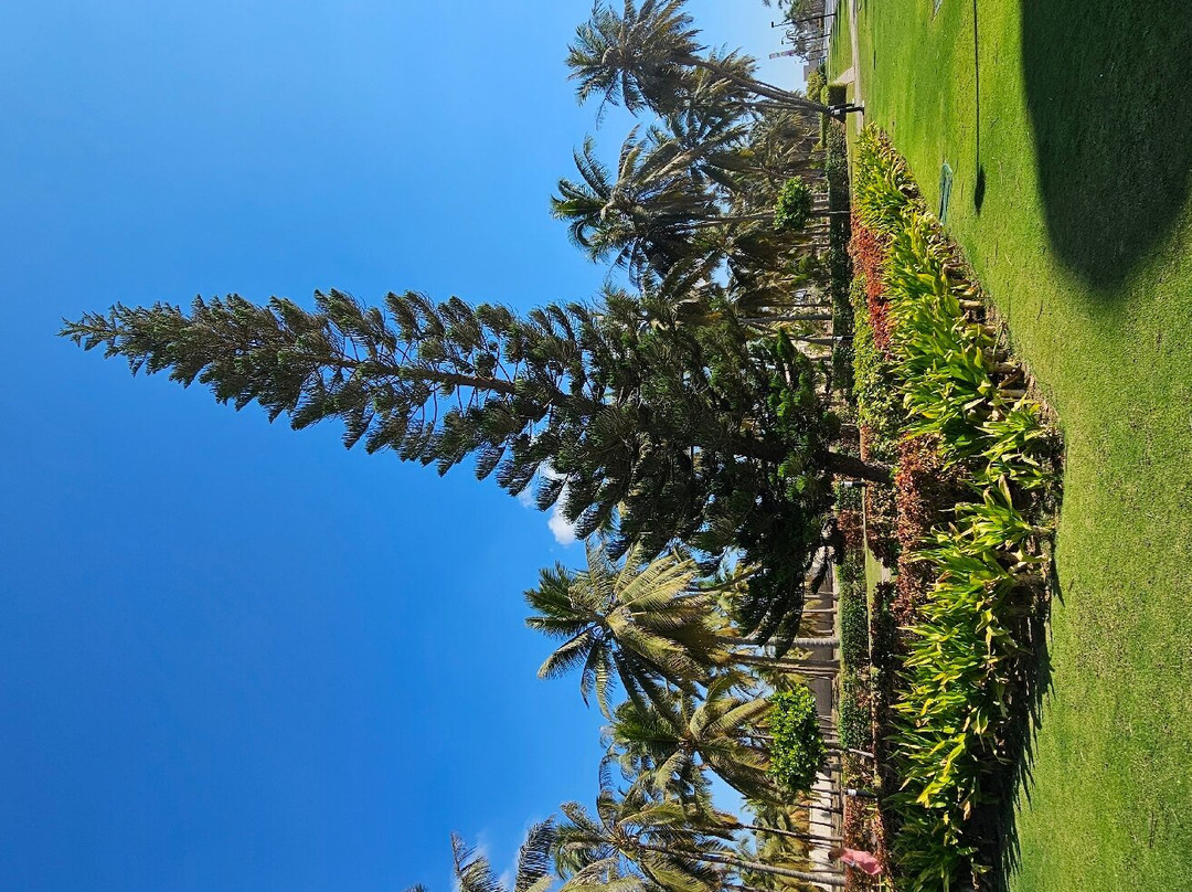 Al Hosn Palace-塞拉莱必去景点