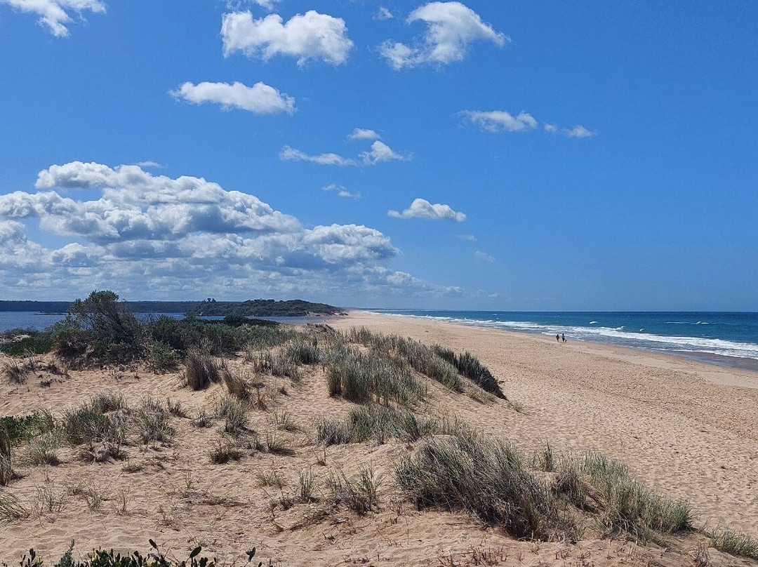 Lake Tyers State Park-Lake Tyers必去景点