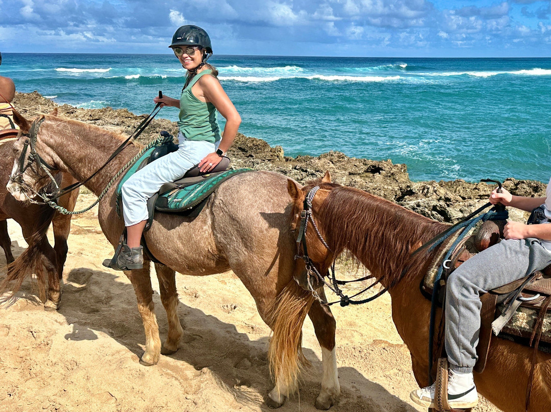 Turtle Bay Resort Horse Riding景点图片