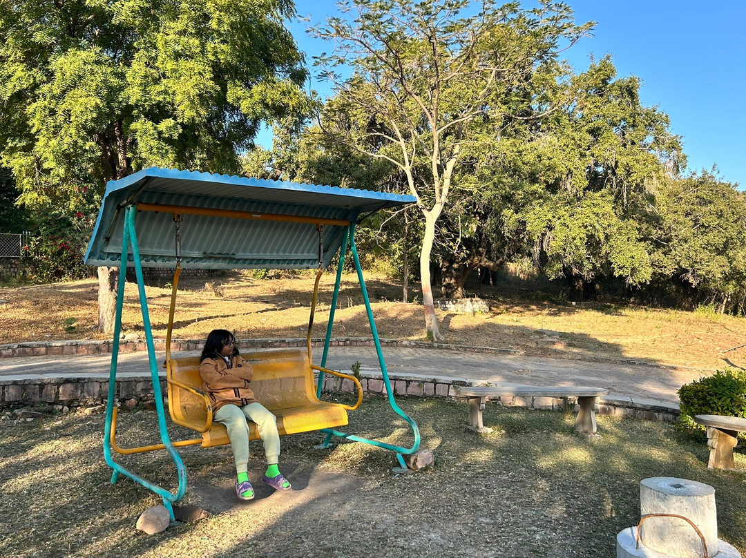 MPT Tana Bana, Chanderi主图