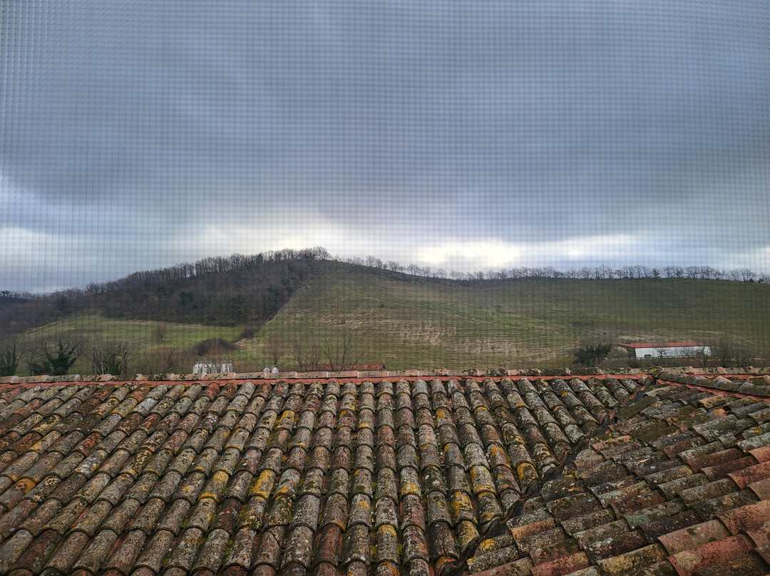 il gelso agriturismo主图