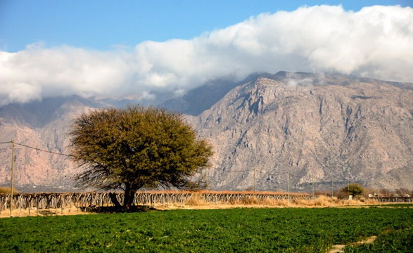 Borravino Wine Tours Salta-萨尔塔必去景点