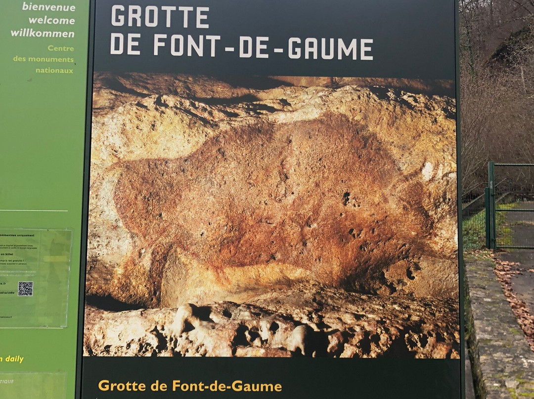 Font-de-Gaume Cave景点图片