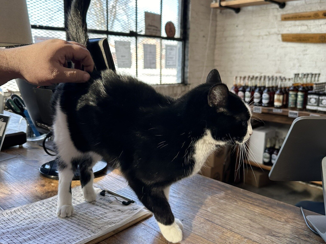 Bluegrass Distillers-列克星敦必去景点