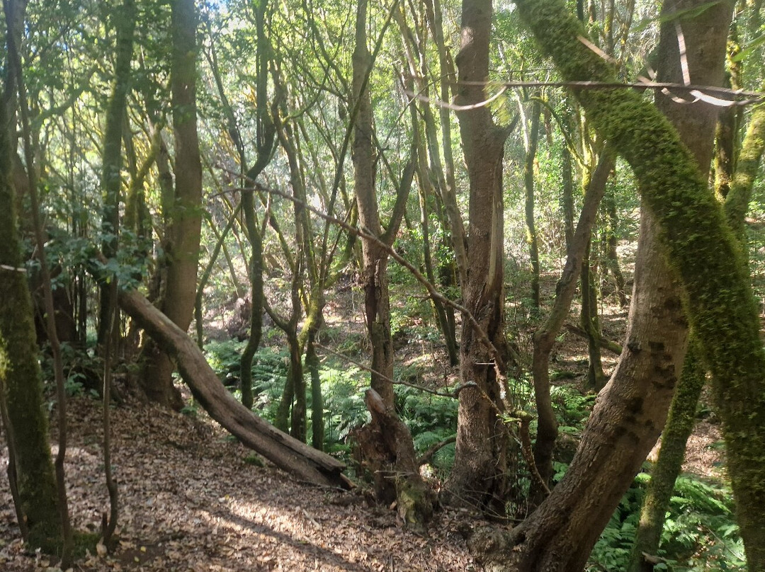 Ipalan Hiking Guided Tour-阿拉赫罗必去景点