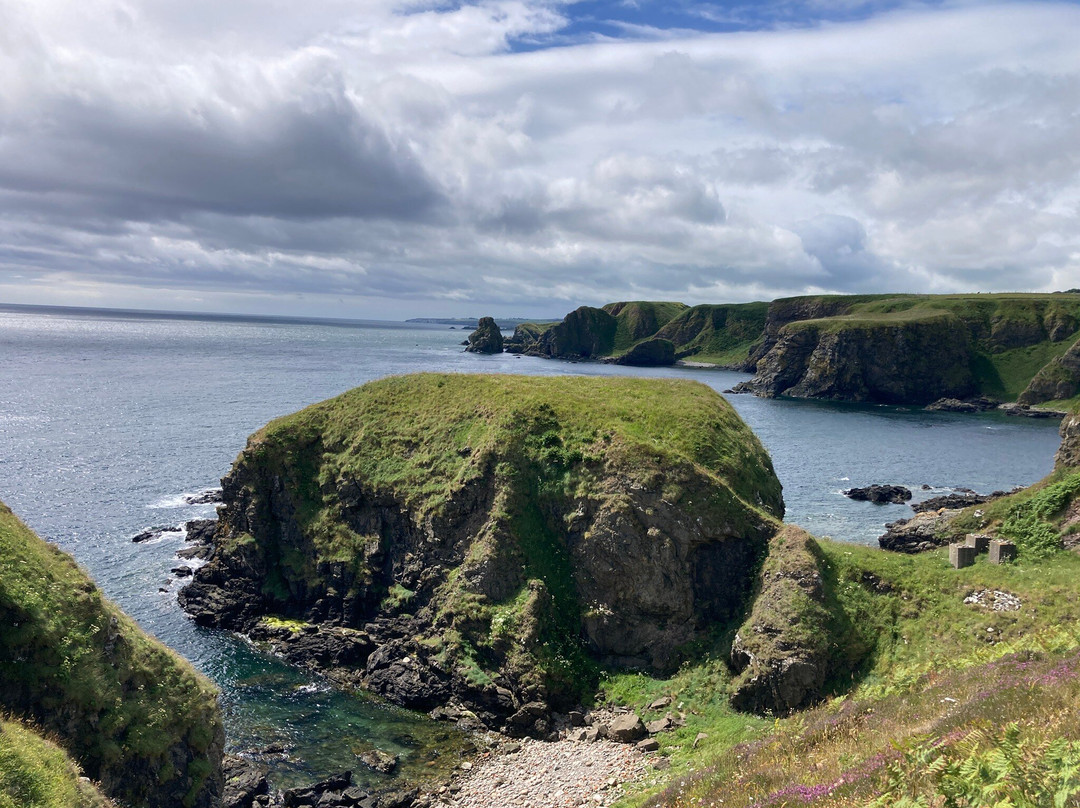 Toadhall Rooms主图