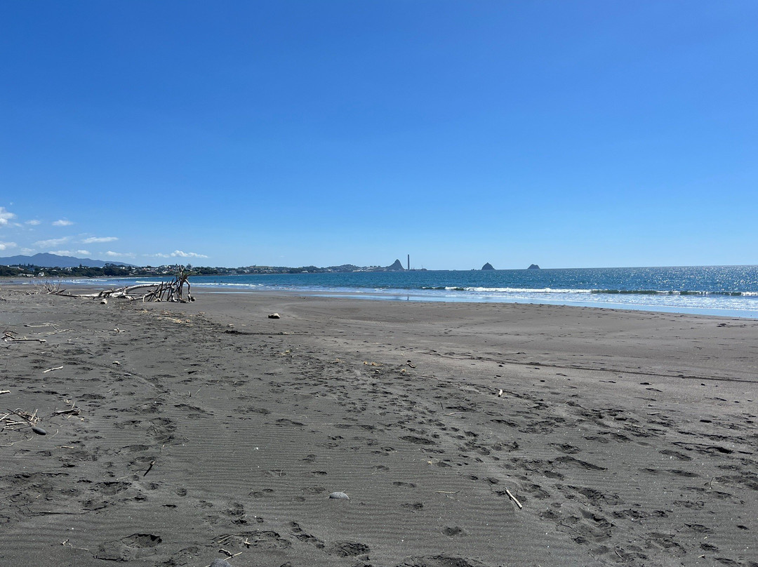 Taranaki Country Lodge主图