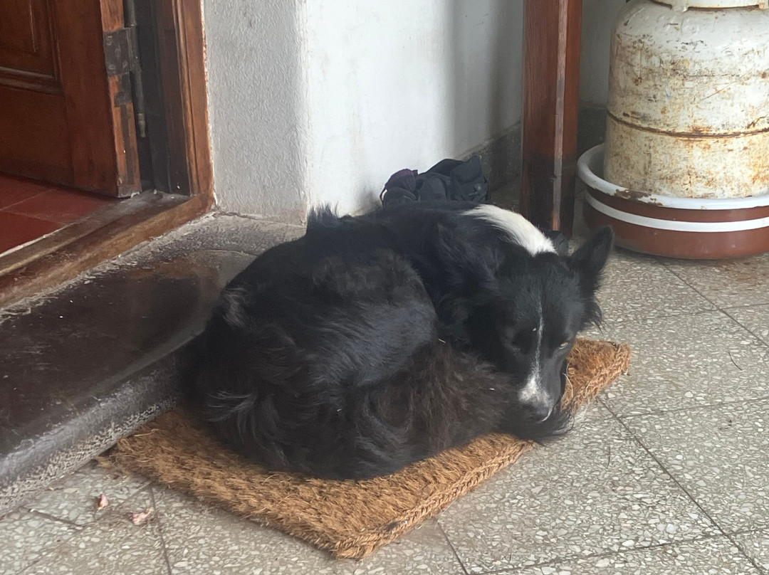 Estancia La Tomasa主图