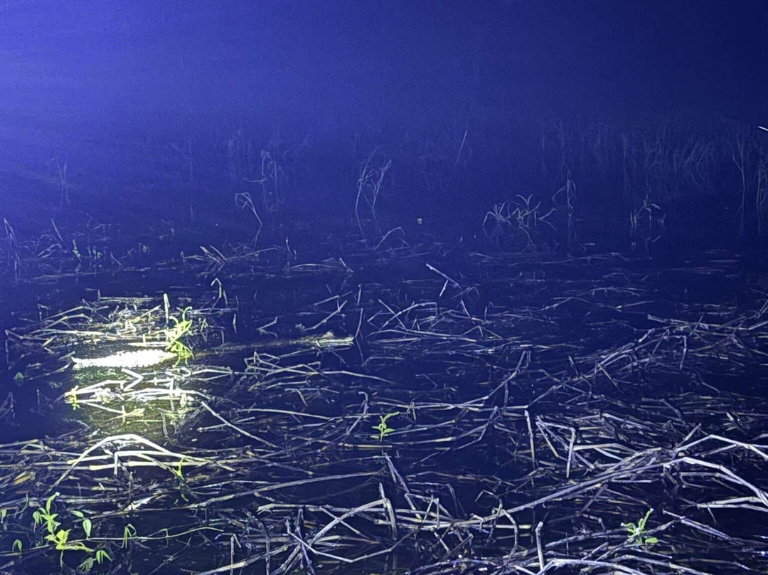 Kaw-Arrondissement of Cayenne必去景点