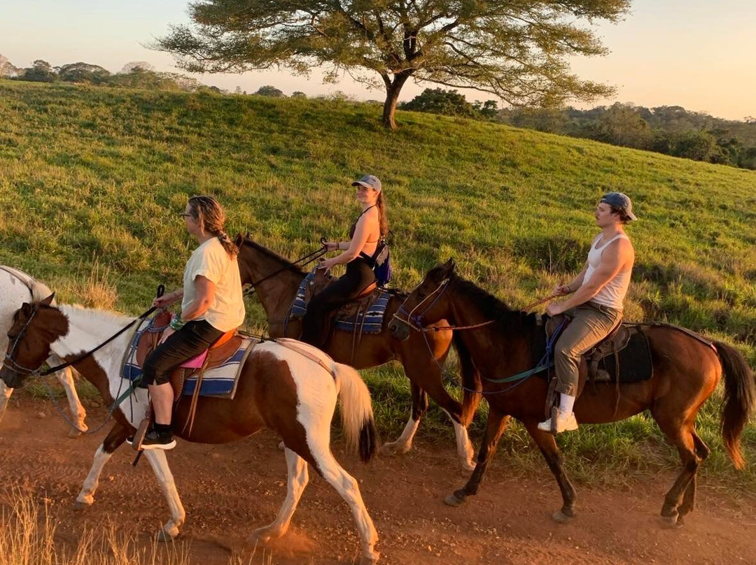 Indiana Horse Project景点图片