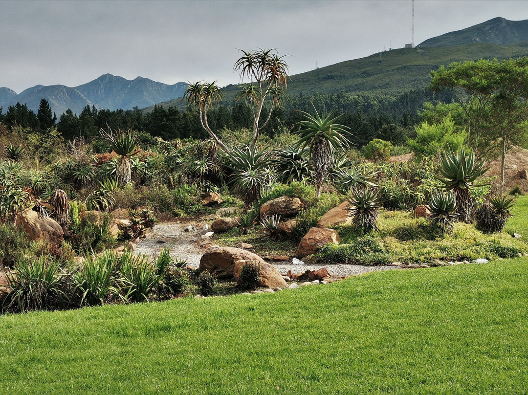 Garden Route Botanical Garden-乔治必去景点