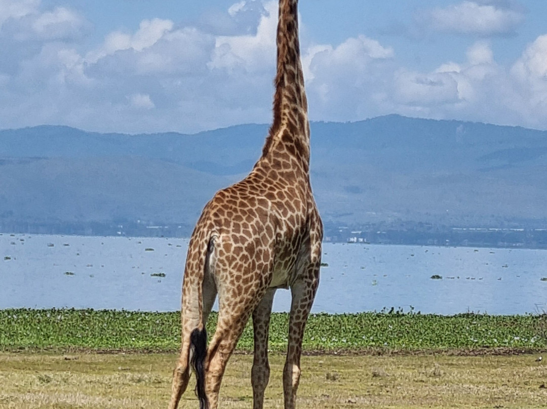 Africa Vision Safaris Tours and Travel景点图片