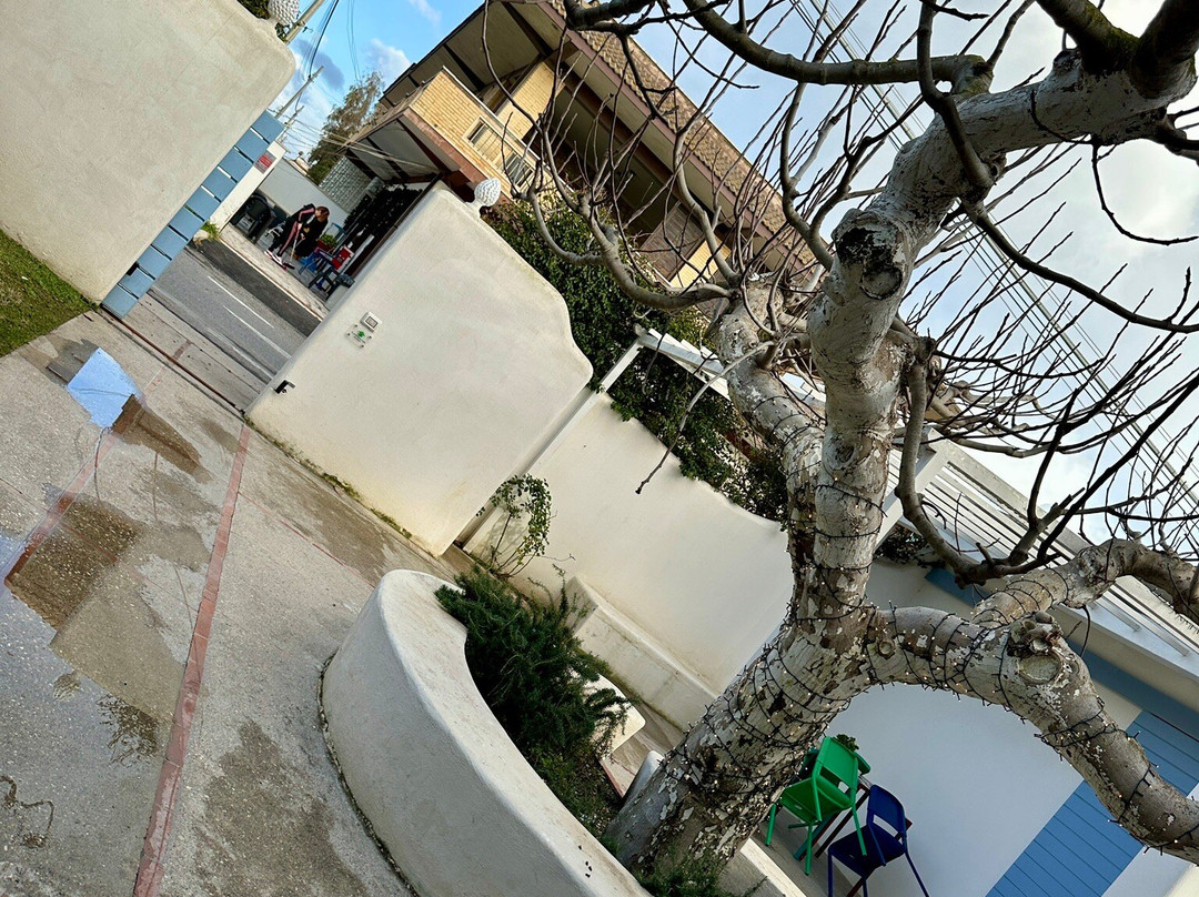 Intorno al Fico - Hotel al Mare主图