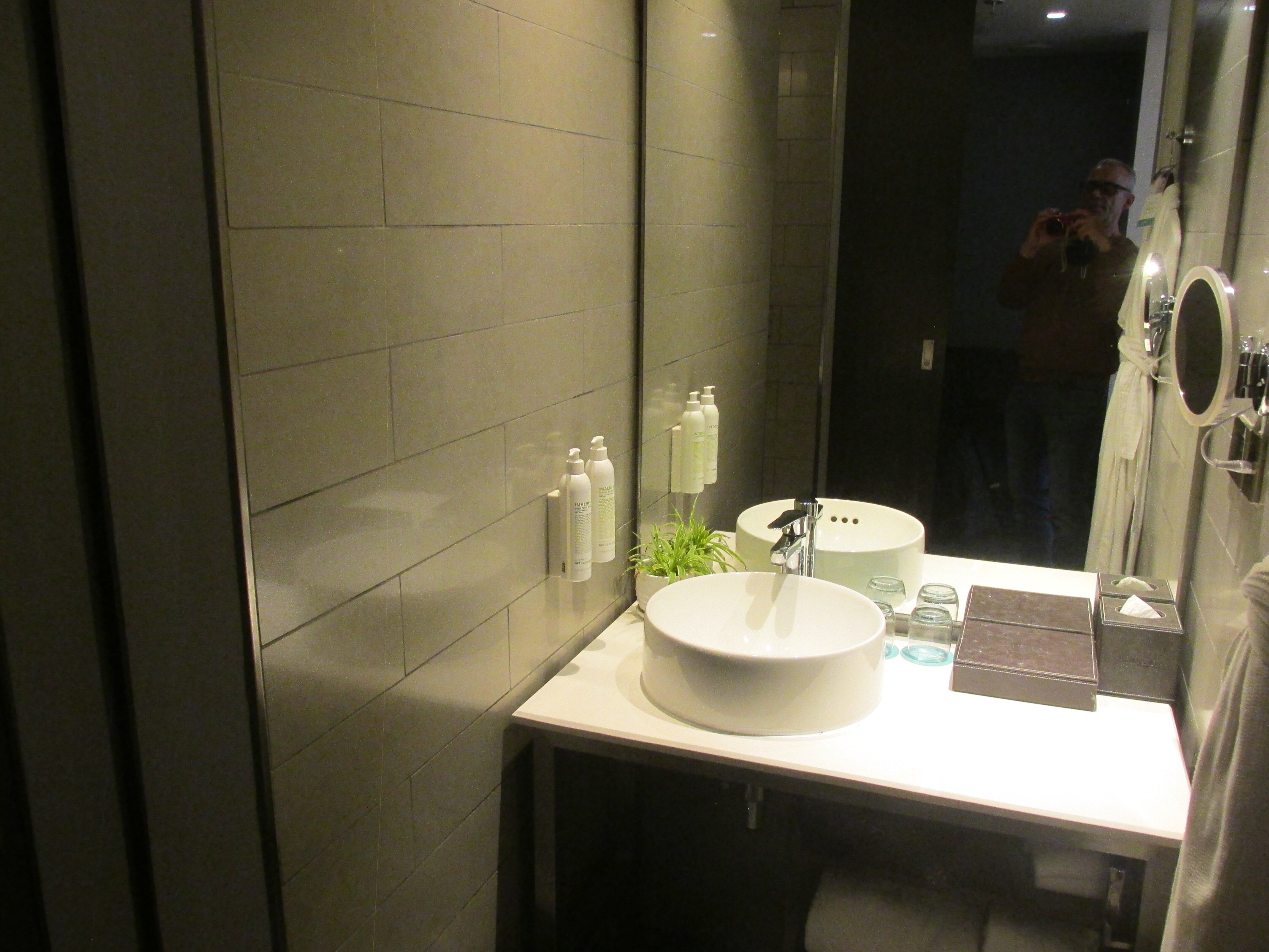 Le Méridien Goa, Calangute-浴室