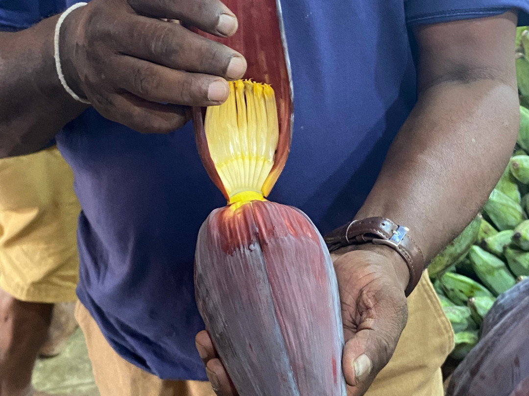 cook with wasantha-乌纳瓦图纳必去景点