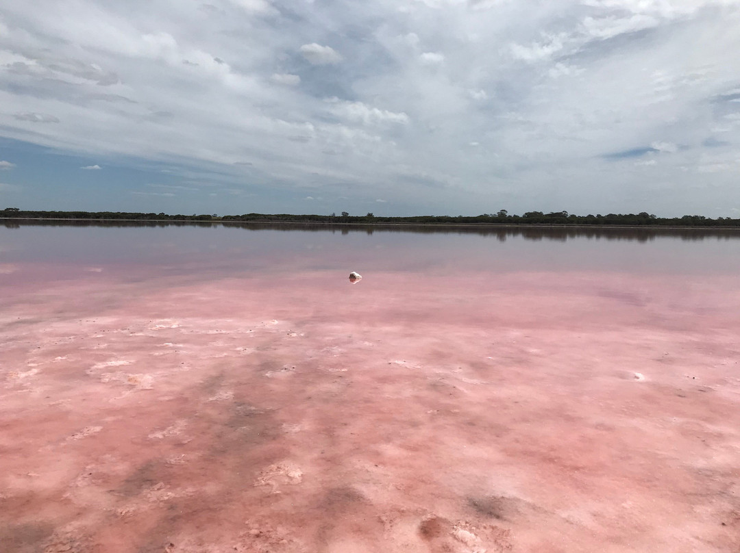 Pink Lake景点图片