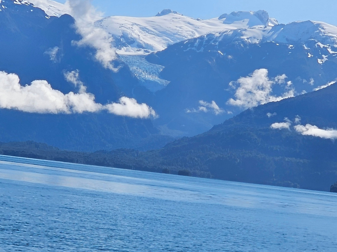 Albatrosur Patagonia景点图片