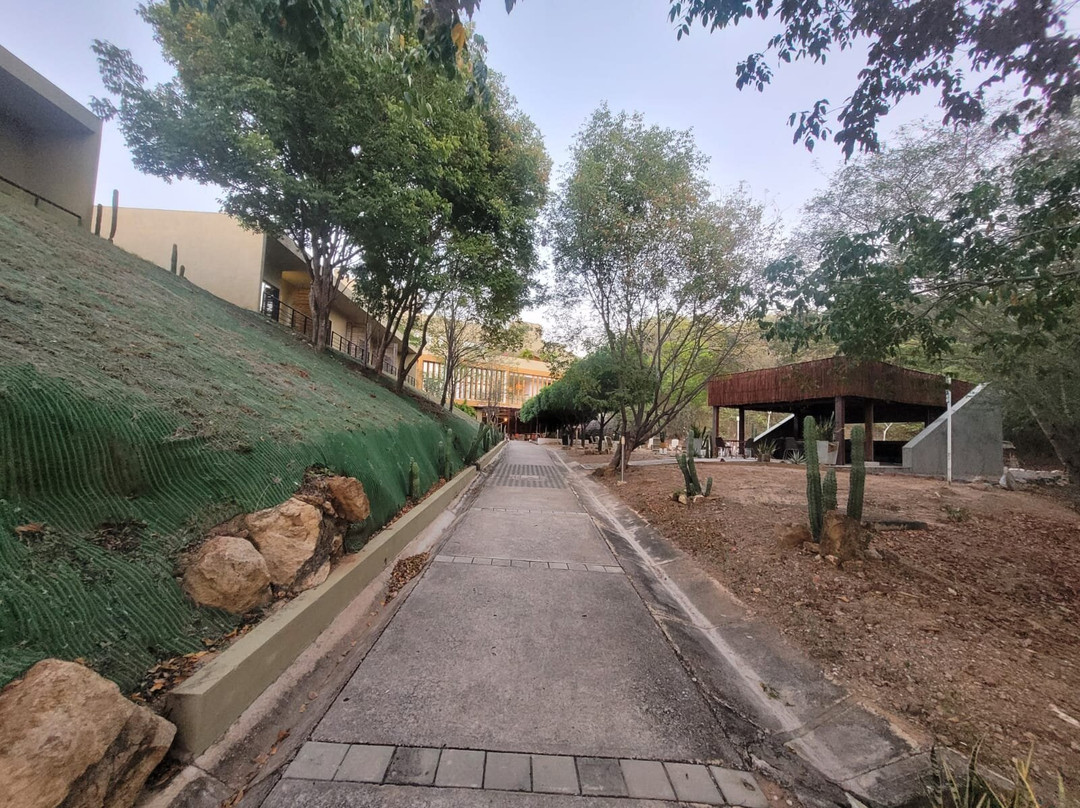 Hotel Waya Guajira主图