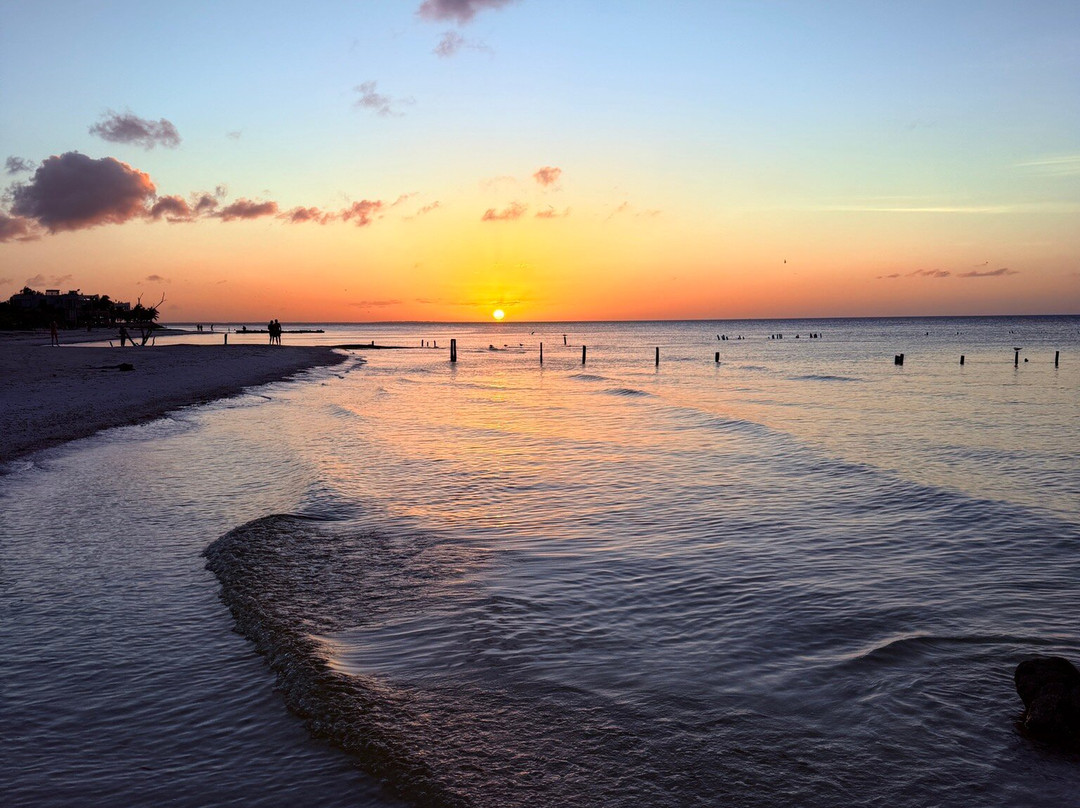 Playa Punta Cocos景点图片