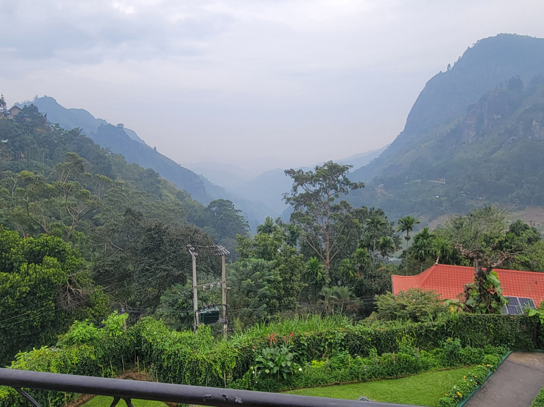Vogue Tours Sri Lanka - Day Tours景点图片