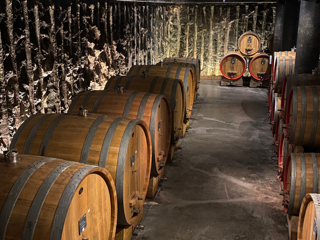 Azienda Agricola Albino Armani 1607景点图片