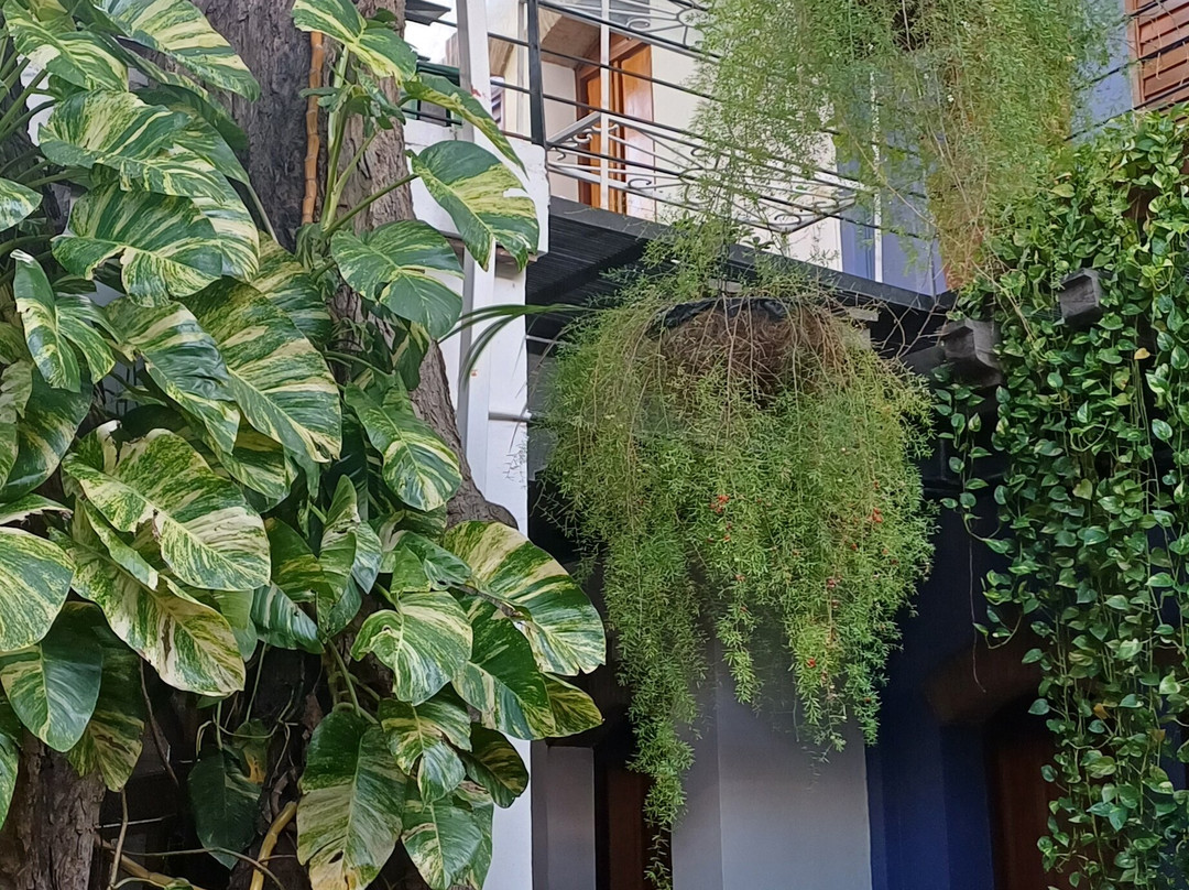 Casa de Isabella - a Kali Hotel主图