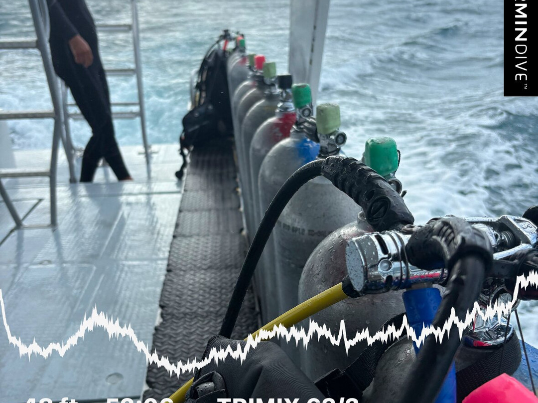 JADS Dive Center景点图片