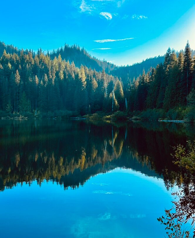 Mount Hood National Forest-克拉克默斯县必去景点