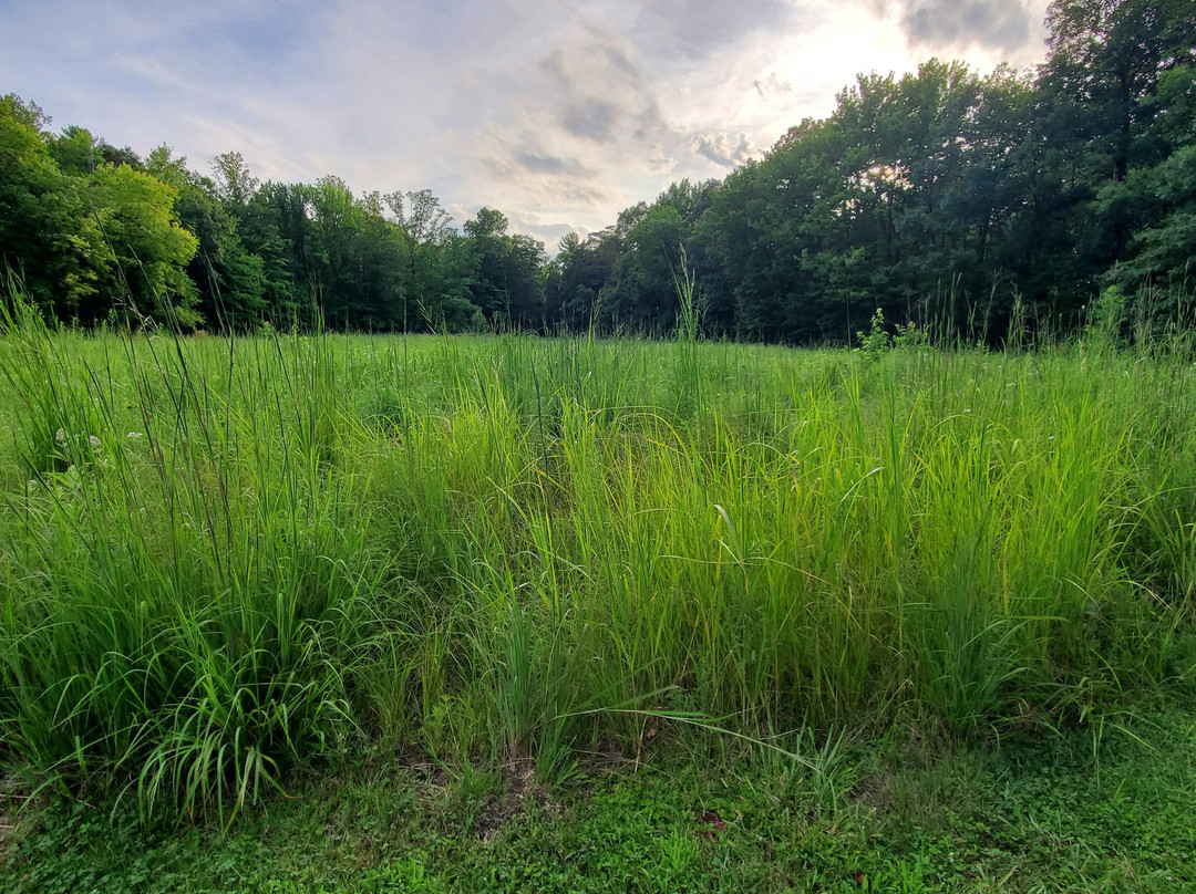 Brecksville Reservation-Brecksville必去景点