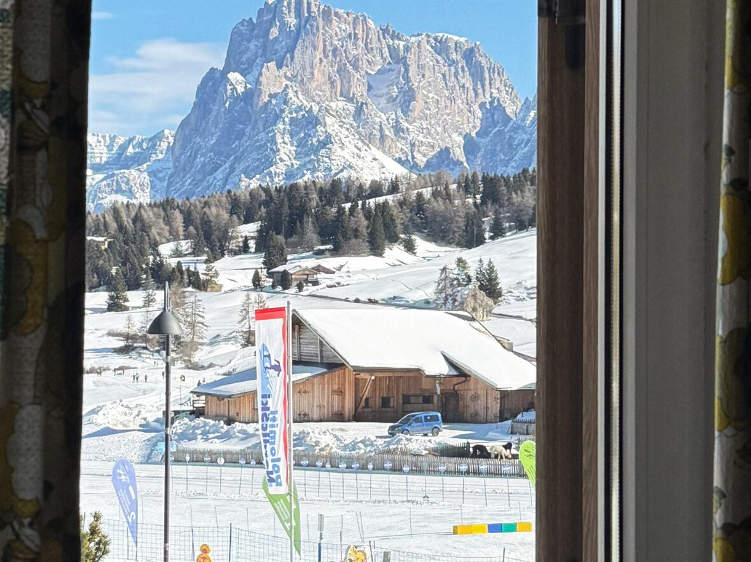 Pensione Anemone主图