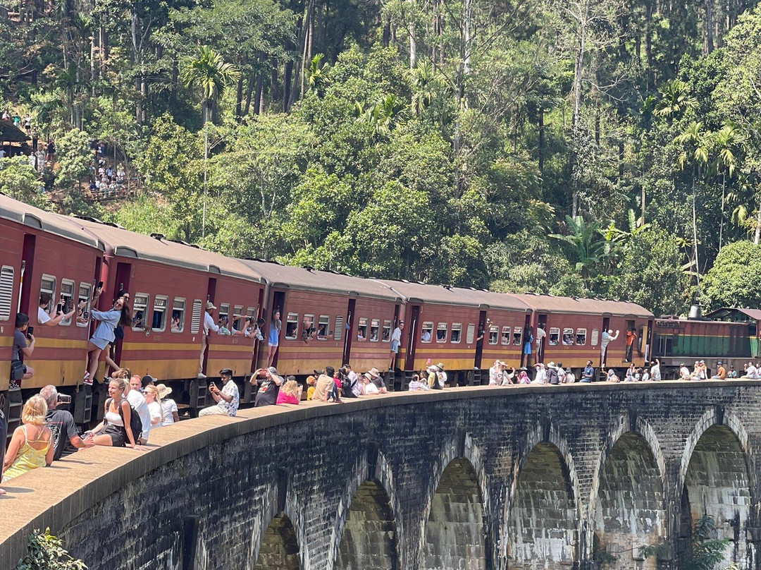 Exotic Island Tours - Private Driver Sri Lanka景点图片