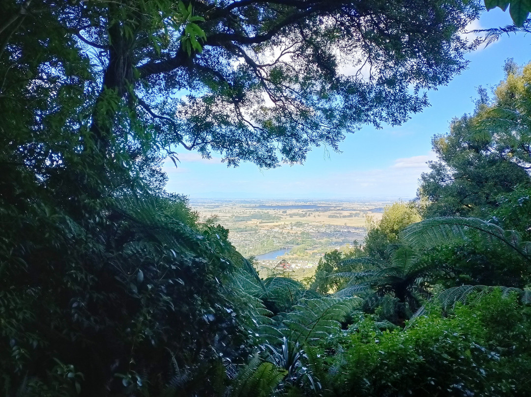 Hakarimata Walkway景点图片