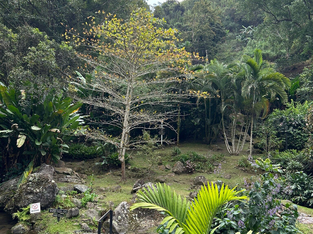 Rafjam's Bed & Breakfast主图