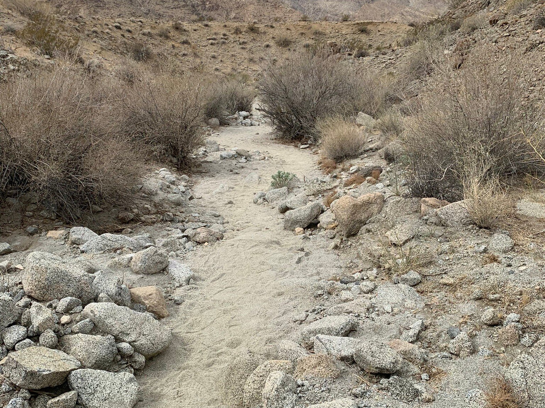 Randall Henderson Loop Trail-棕榈沙漠必去景点