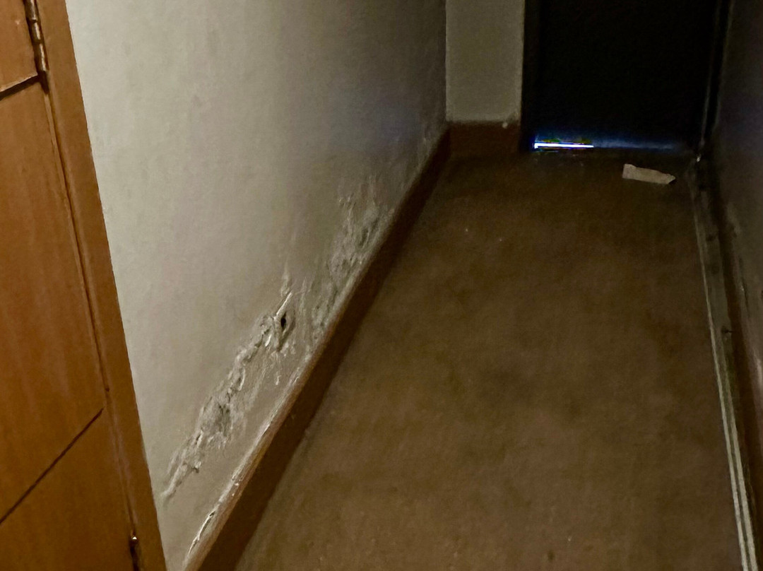 Armitage Hotel主图