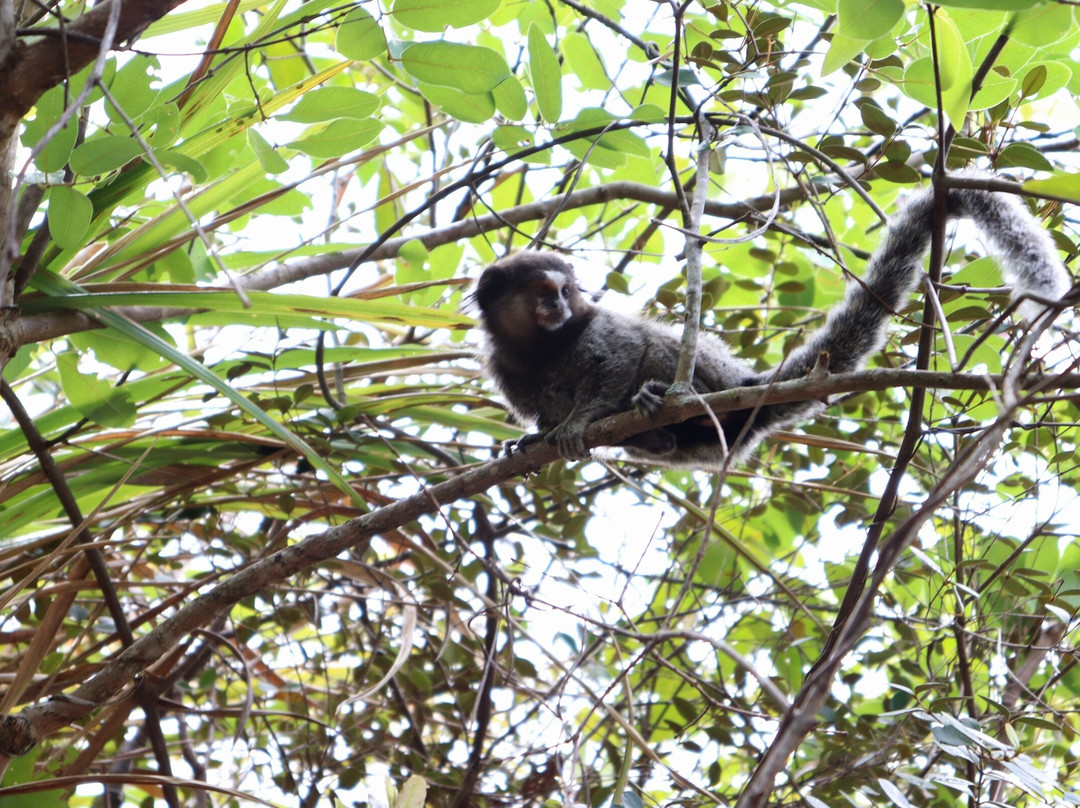Poco do Diabo Waterfall-雷恩克斯必去景点