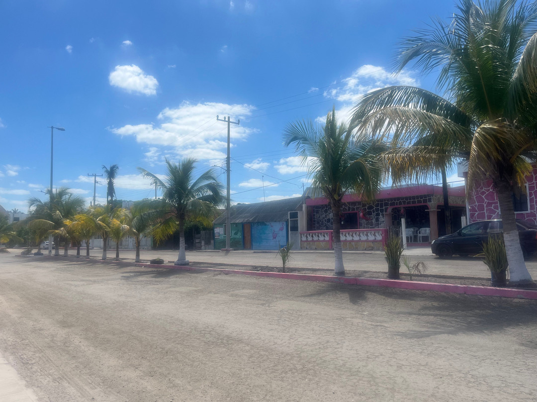 Parque Natural Ria Lagartos景点图片