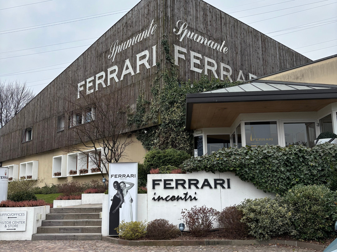 Cantine Ferrari F.lli Lunelli景点图片