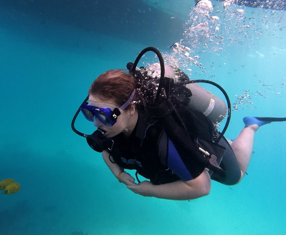 Dive with Luka-赫尔格达必去景点