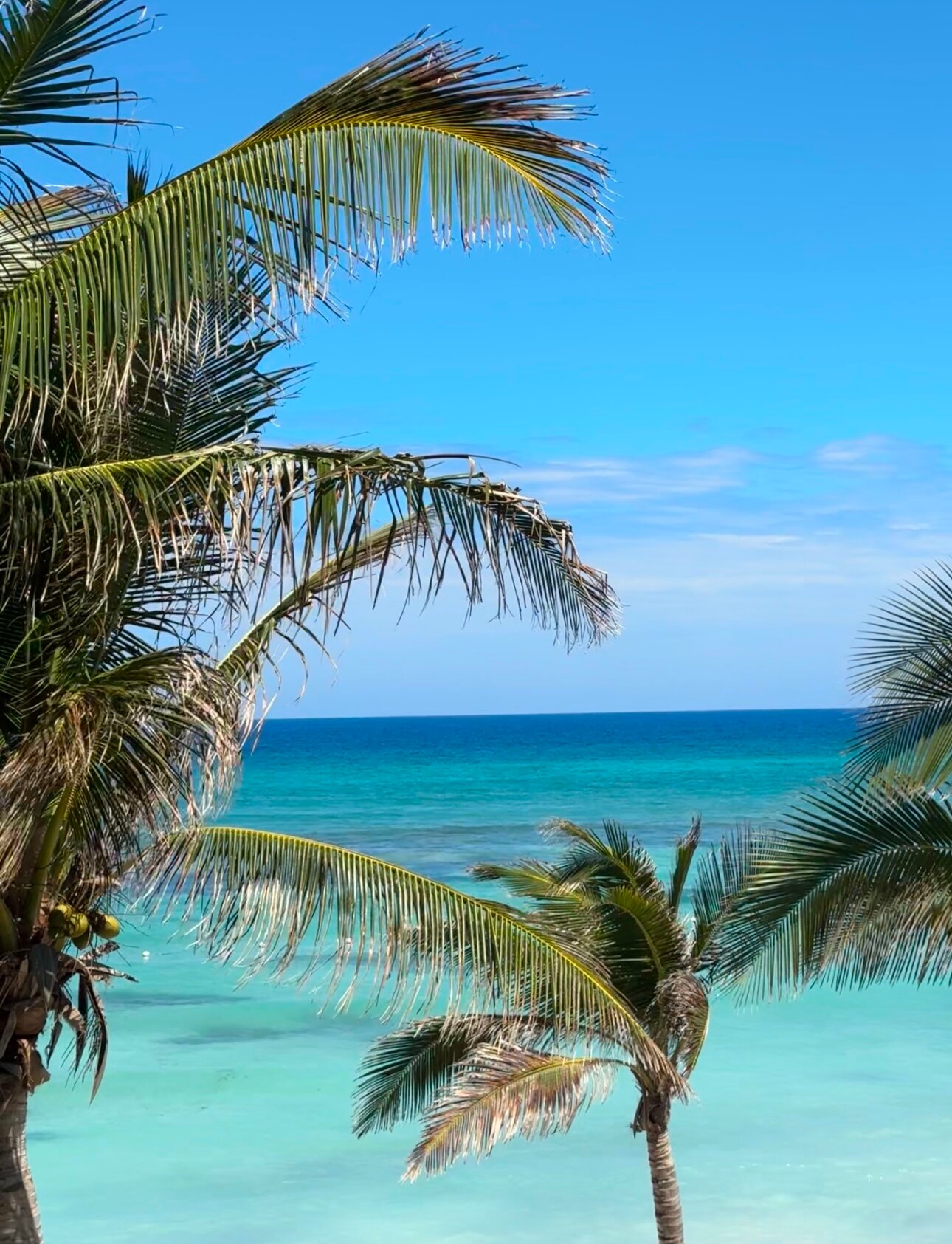 Ocean Eden Bay - Adults Only-泳池