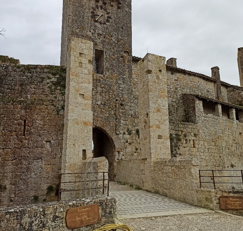 Le Village Fortifie de Larressingle景点图片
