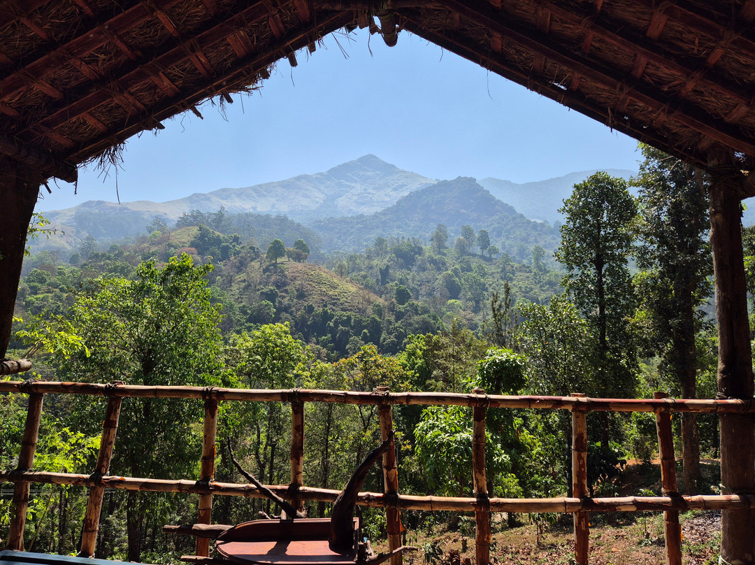 Wild Courtyard Vythiri