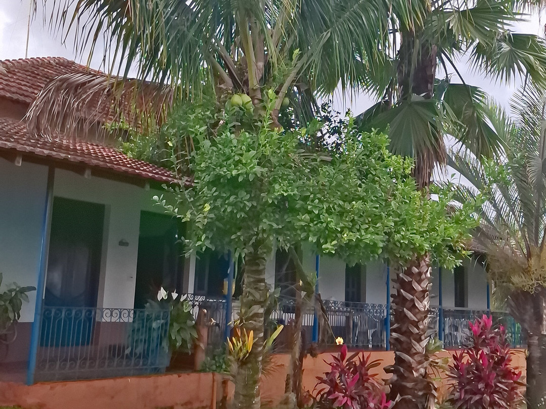 Fazenda Do Alho景点图片