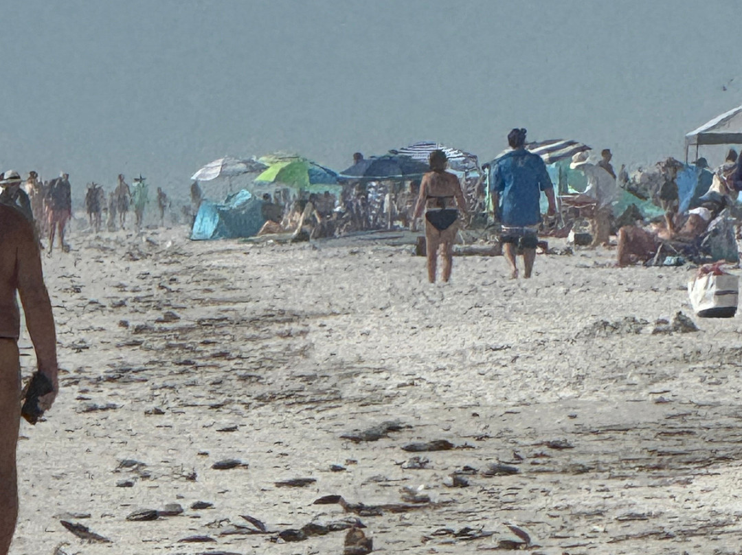 North Redington Beach景点图片
