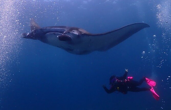 Intrinity Divers-长谷必去景点