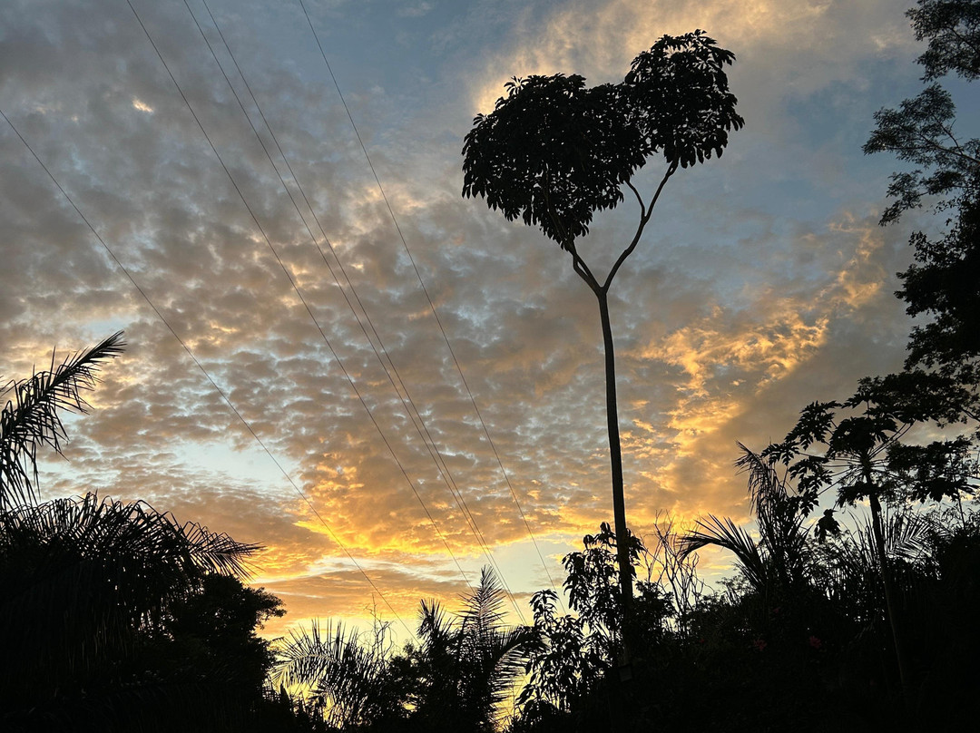 Pousada Chamame主图