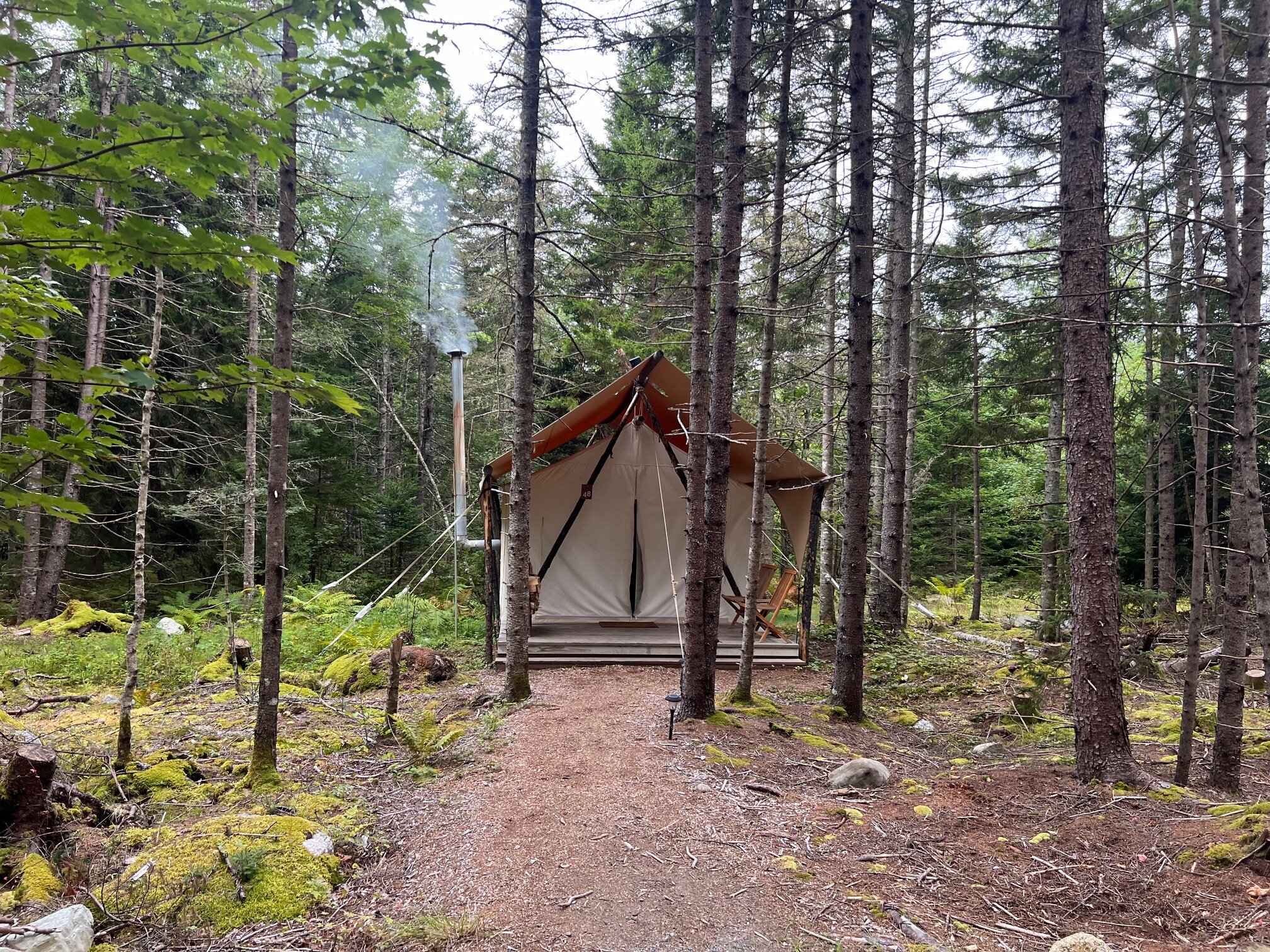 Under Canvas Acadia-客卧