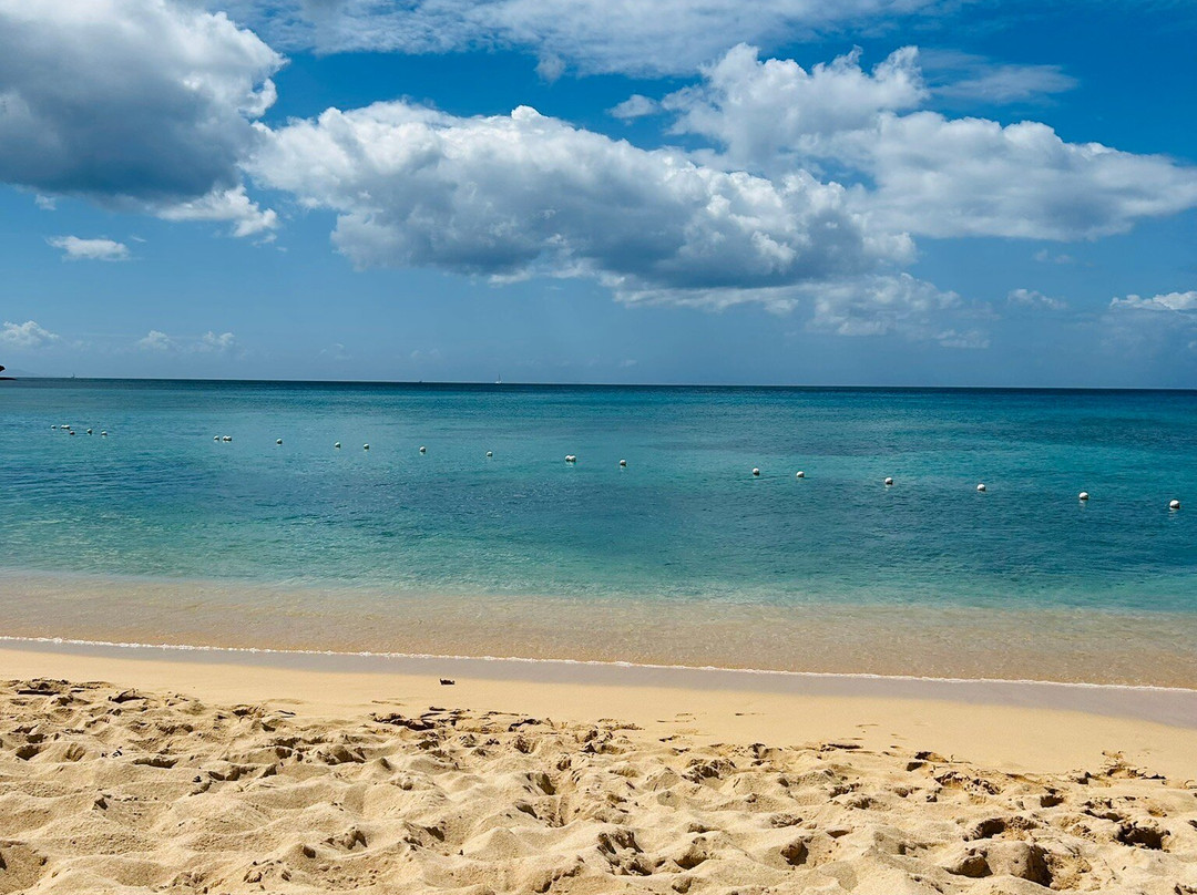 Landing Bay Beach景点图片