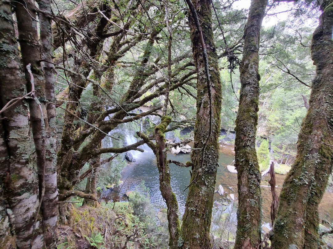 eGuide-谢菲尔德必去景点