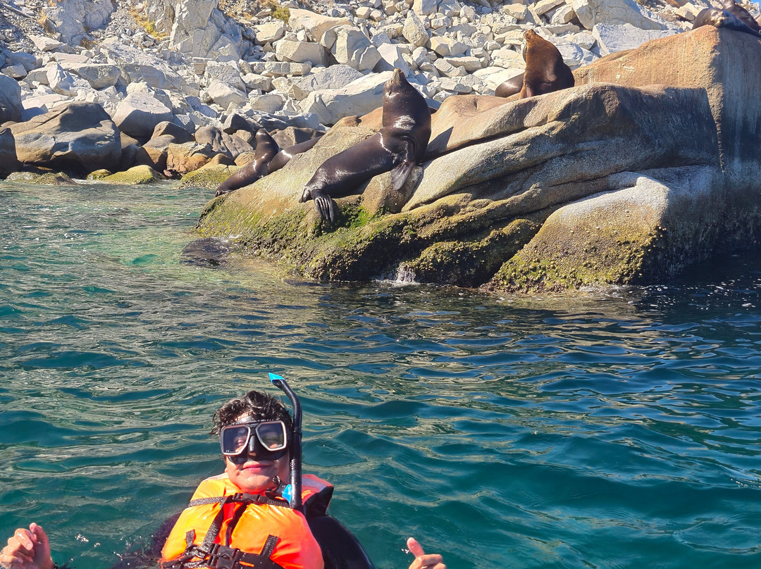 Cabo Pulmo Sport Center-Cabo Pulmo必去景点